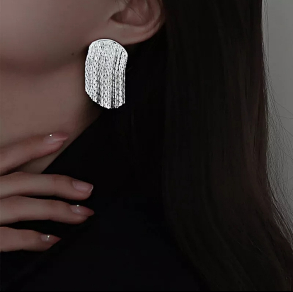 Stunning Silver Chain Earrings